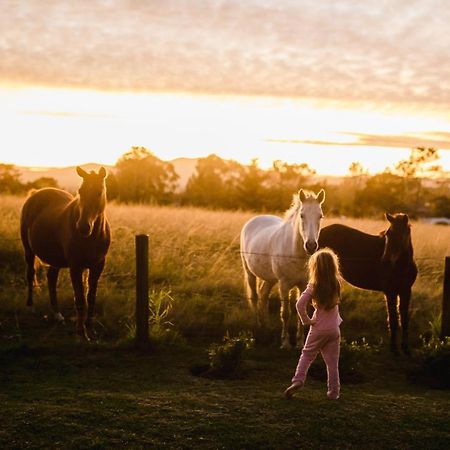 Fernhill Guest Farm Villa Knysna Luaran gambar
