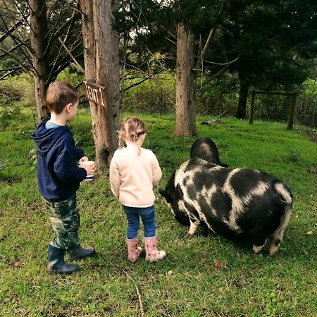 Fernhill Guest Farm Villa Knysna Luaran gambar