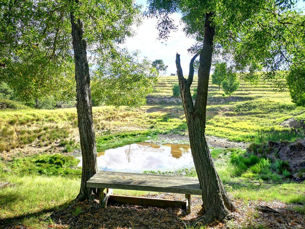 Fernhill Guest Farm Villa Knysna Luaran gambar
