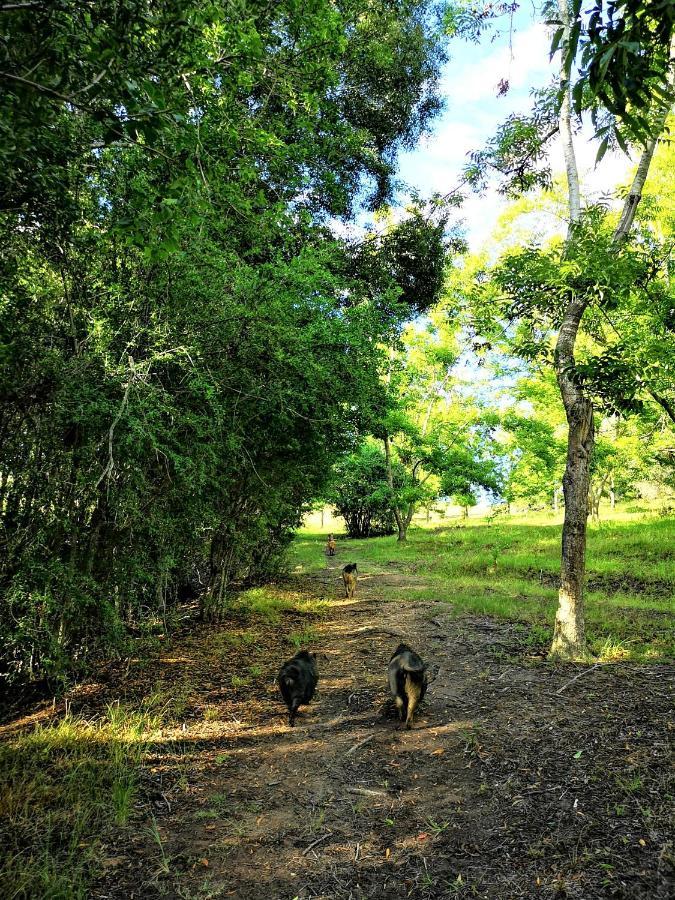 Fernhill Guest Farm Villa Knysna Luaran gambar