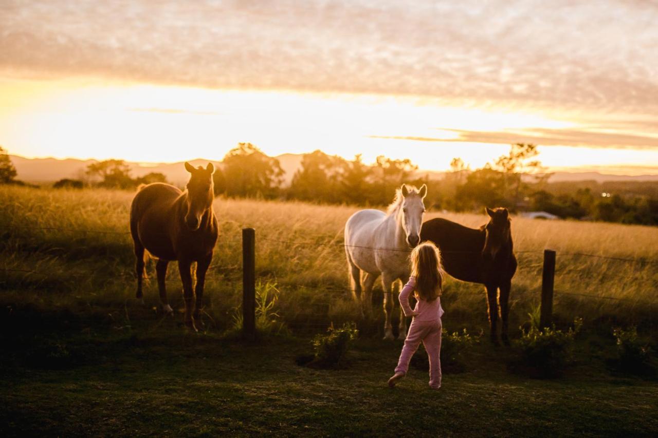 Fernhill Guest Farm Villa Knysna Luaran gambar