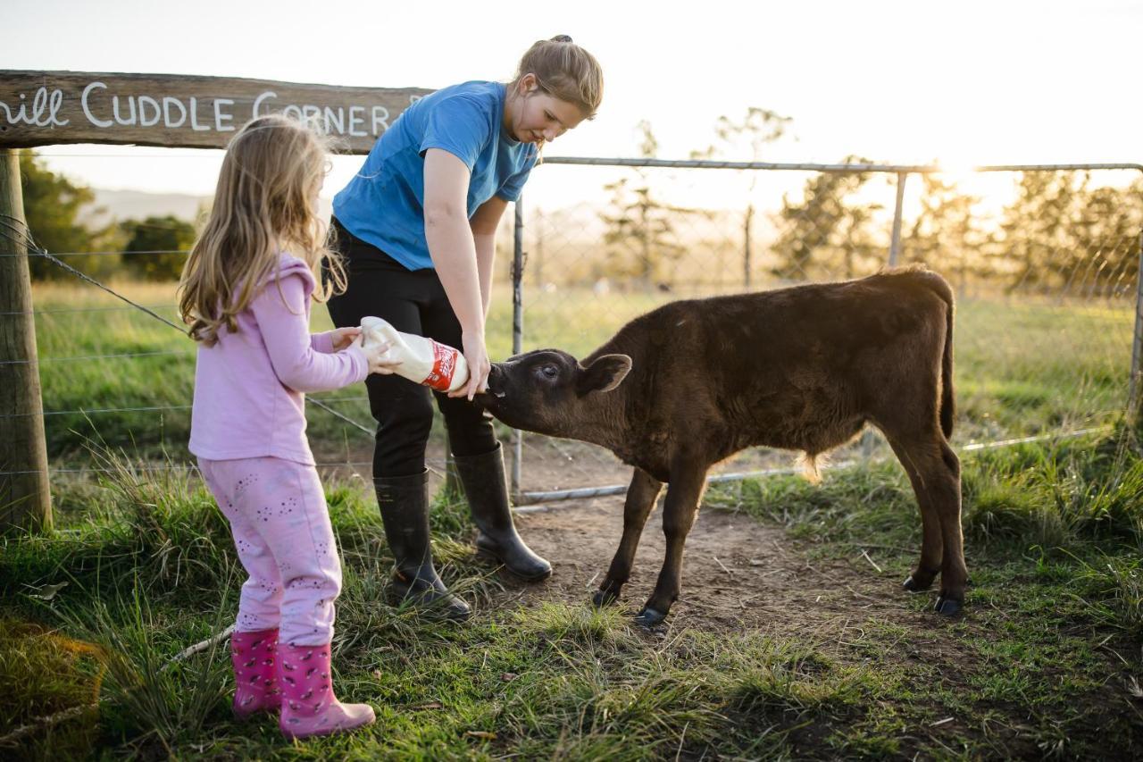 Fernhill Guest Farm Villa Knysna Luaran gambar