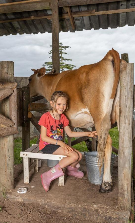 Fernhill Guest Farm Villa Knysna Luaran gambar