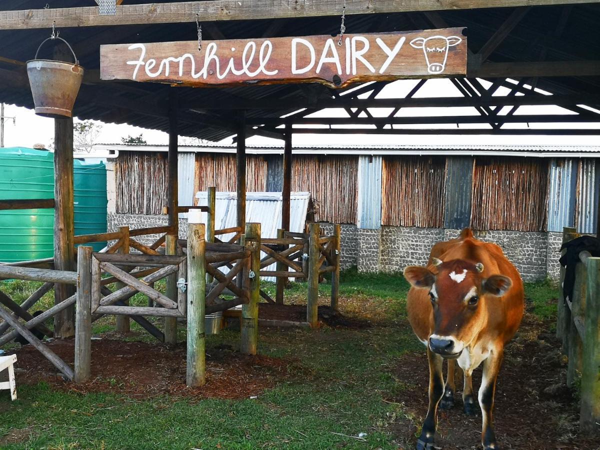 Fernhill Guest Farm Villa Knysna Luaran gambar