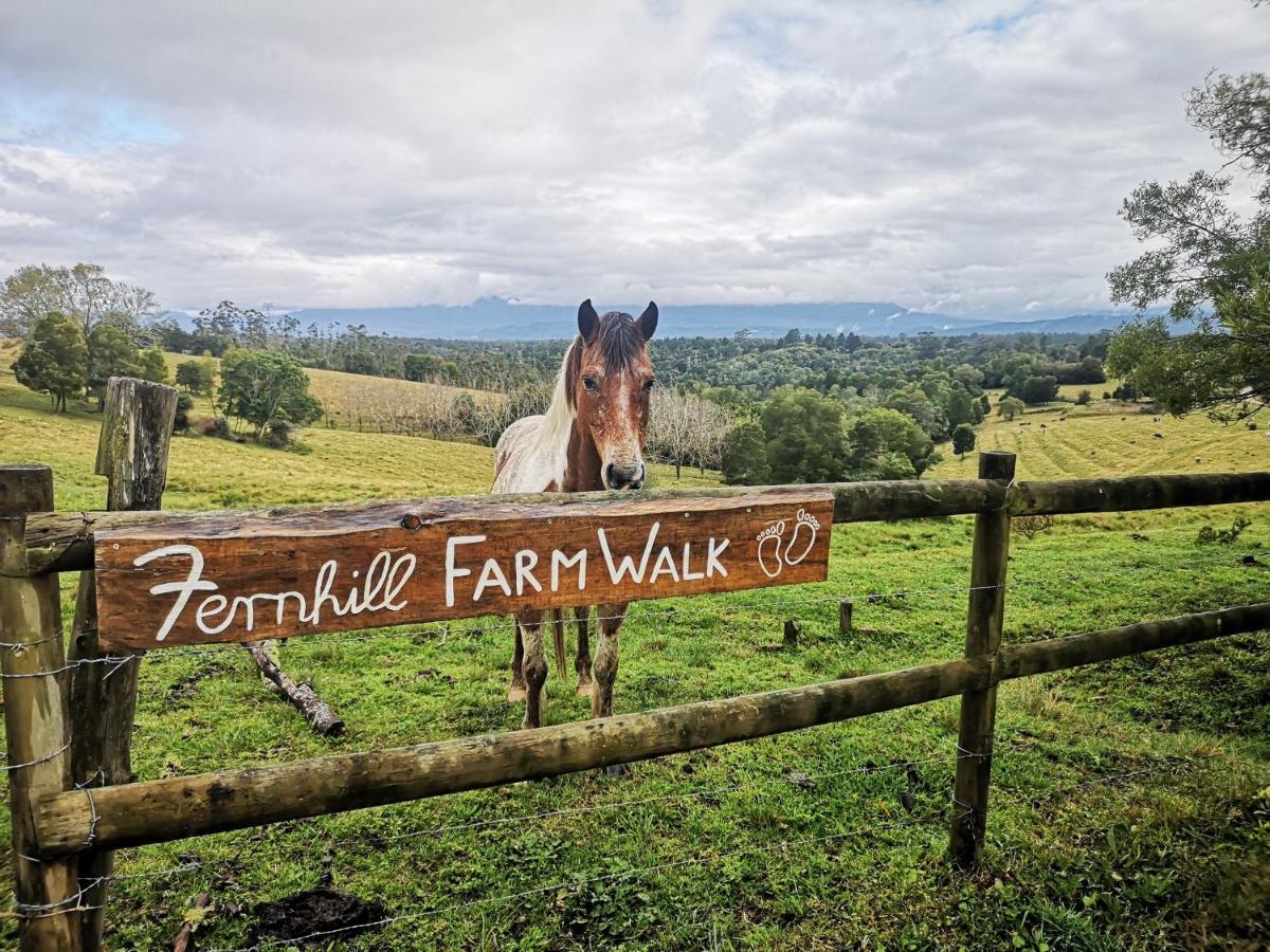 Fernhill Guest Farm Villa Knysna Luaran gambar