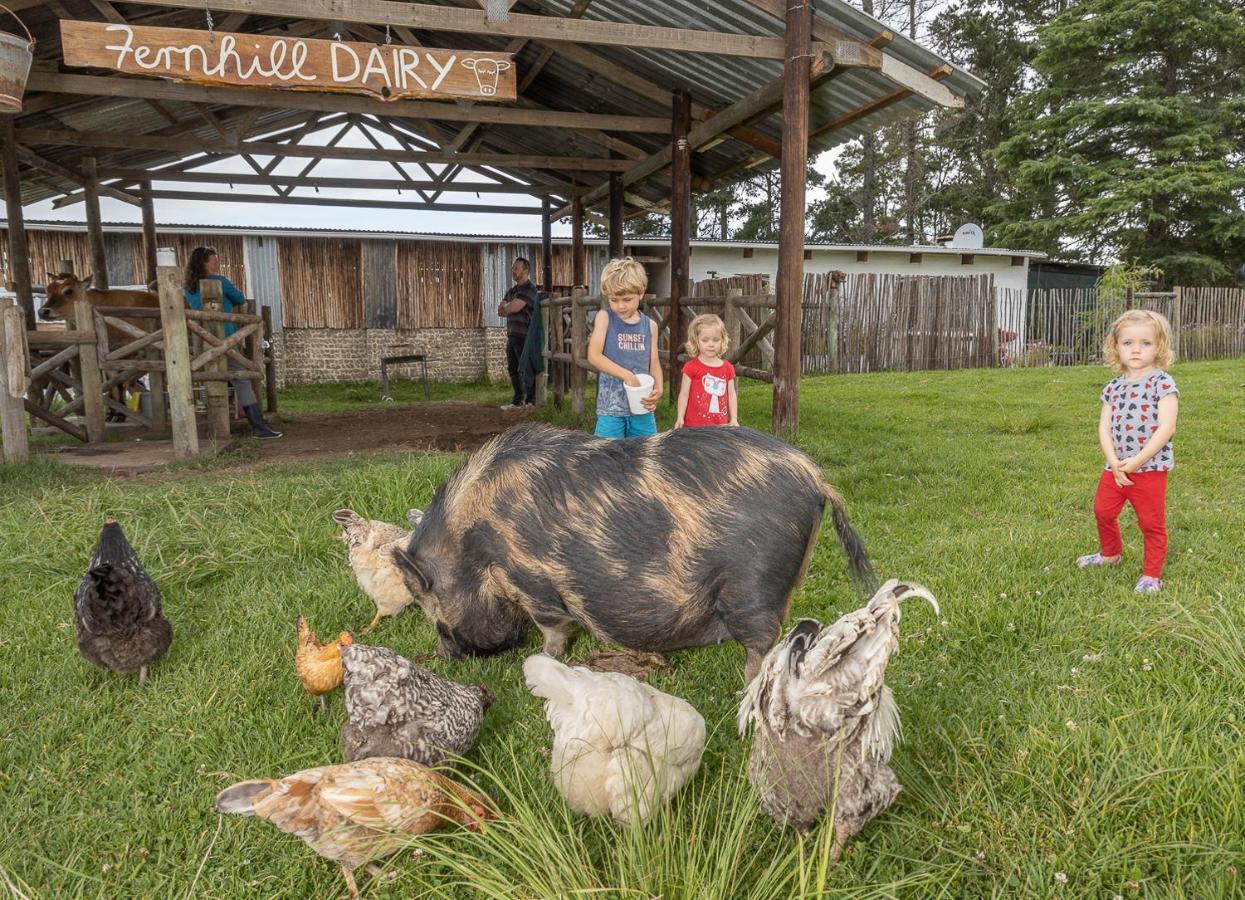 Fernhill Guest Farm Villa Knysna Luaran gambar