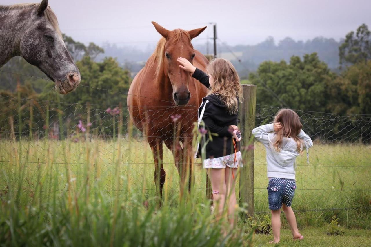 Fernhill Guest Farm Villa Knysna Luaran gambar